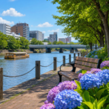 市川市イベント情報で整える安心の地域デート