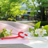 縁日結び結婚相談所で進む安心婚活ステップ